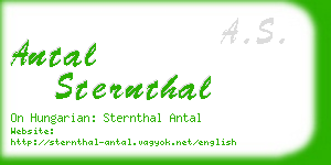 antal sternthal business card